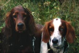 Berna och Nina som unga - ca 1997